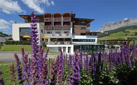 Hotel Ciasa Soleil